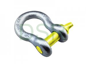 DSR073  U.S.Type G209 Screw Pin Bow Shackle
